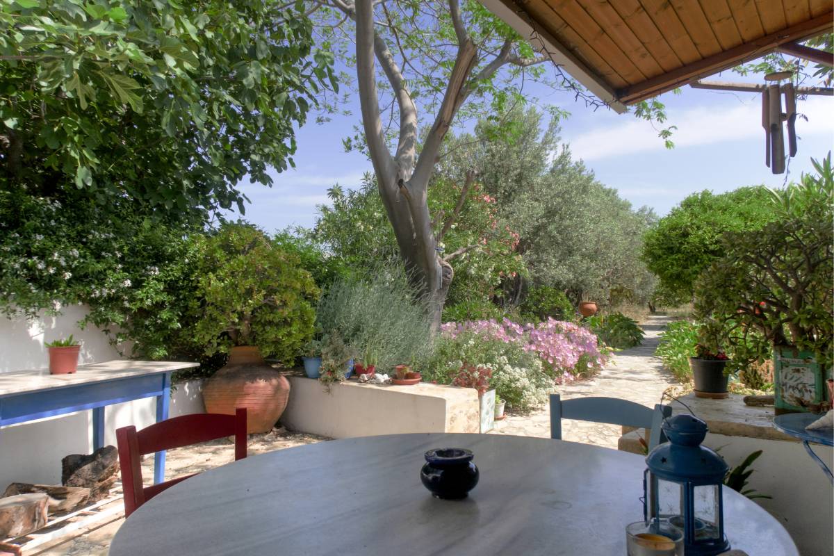 Round outside table surrounded by lush garden plants.